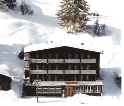 Hotel Alpenblick - Mürren 