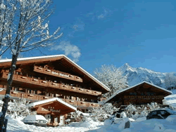 Hotel Alpenhof - Grindelwald