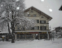 Hotel Brienzerburli