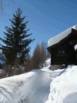 Chalet dei Fiori B&B