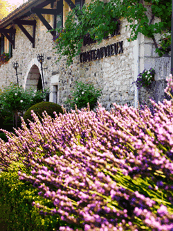 Domaine de Châteauvieux