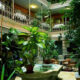 Atrium Hotel Blume