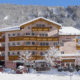Alpenblick Wellnesshotel - Fiesch