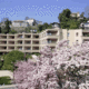 Best Western Hotel Sasso Boretto